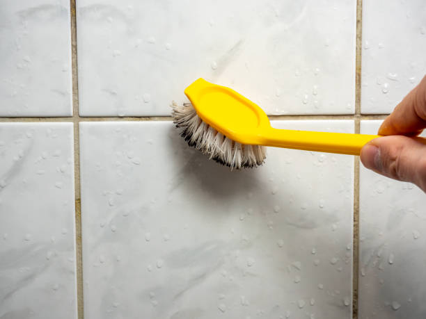 Best Mold Testing  in Mount Clemens, MI