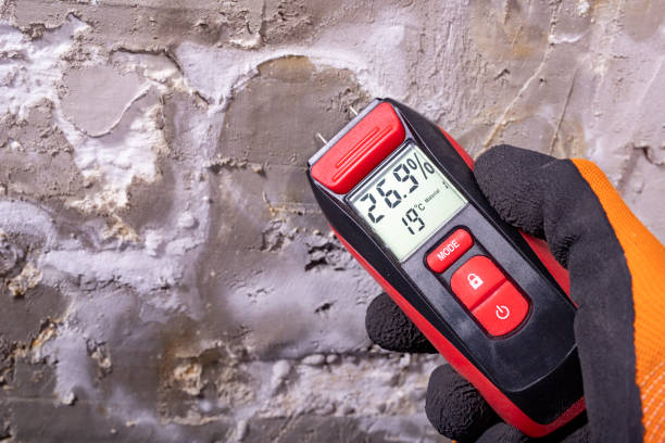Best Certified Mold Removal  in Mount Clemens, MI